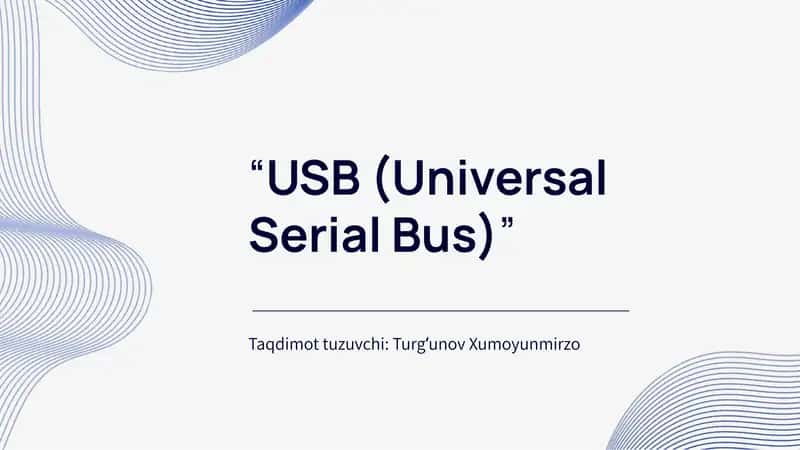 USB (Universal Serial Bus) 1