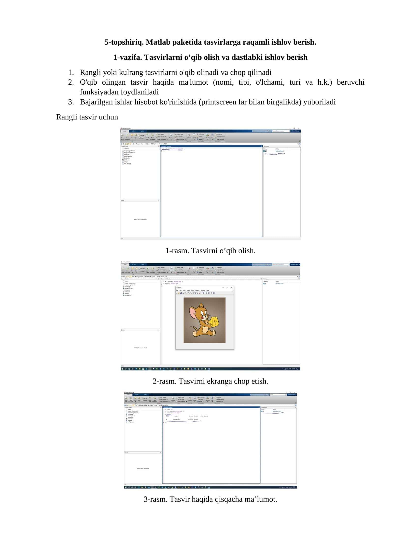 Matlab paketida tasvirlarga raqamli ishlov berish 1