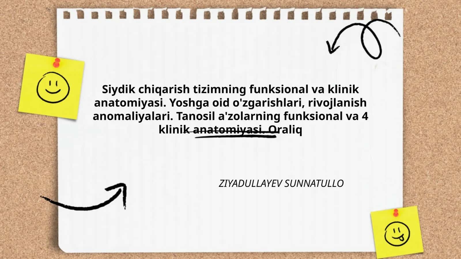 Siydik chiqarish tizimning funksional va klinik anatomiyasi 1