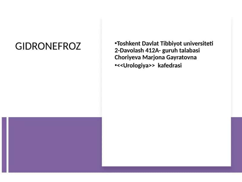 GIDRONEFROZ 1
