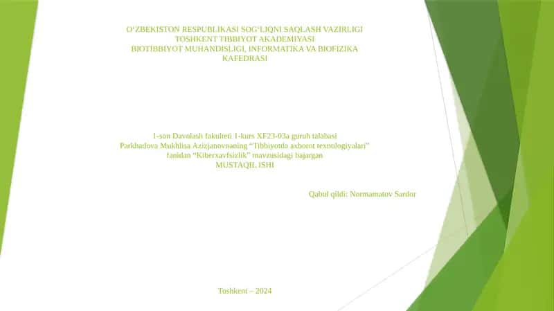 Kiberxavfsizlik 1