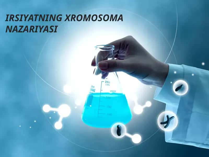 IRSIYATNING XROMOSOMA NAZARIYASI 1