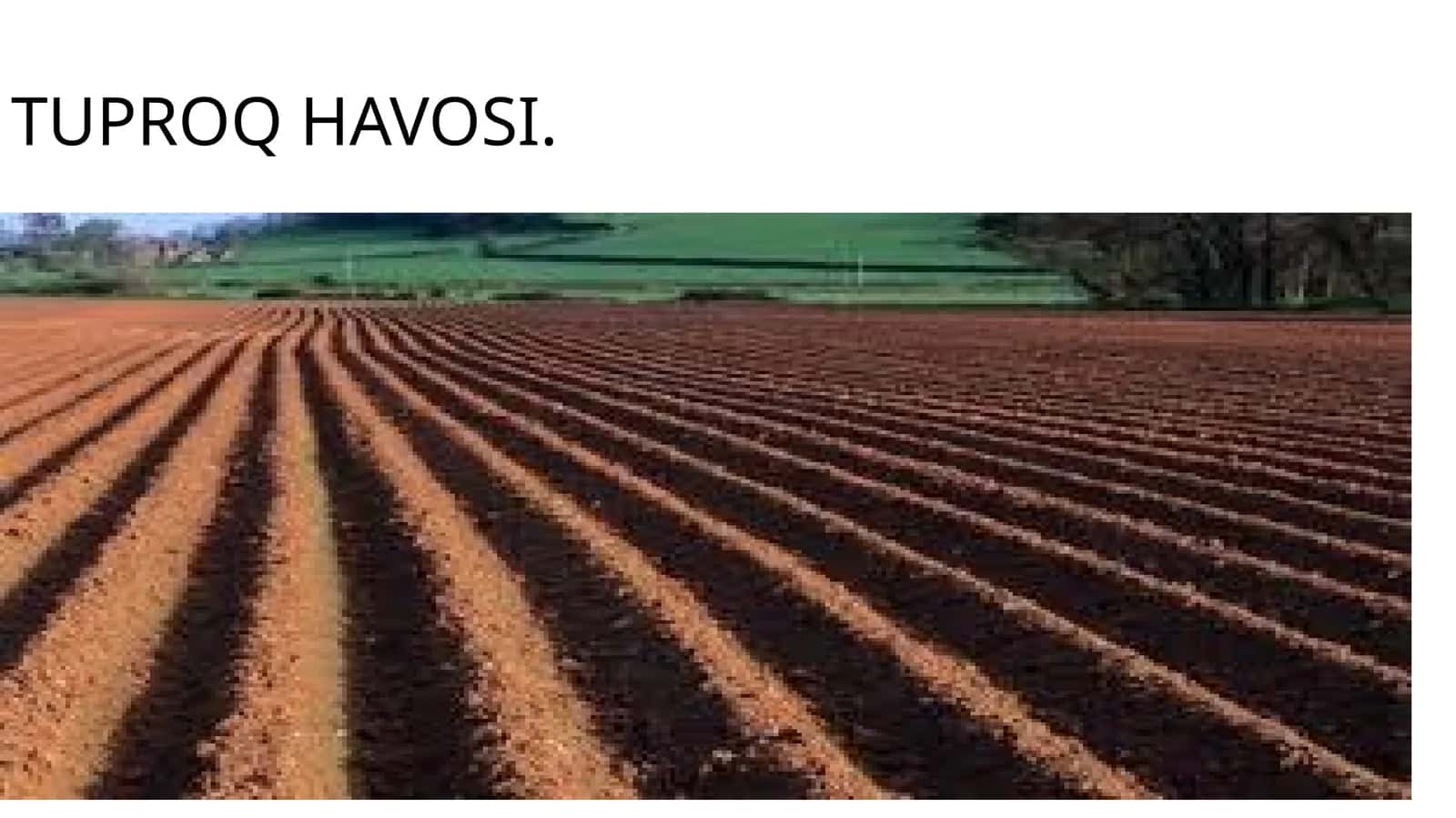 TUPROQ HAVOSI 1