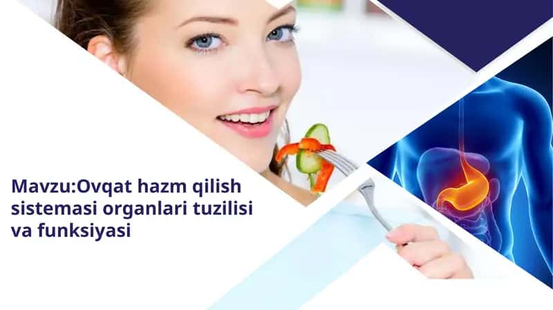 Ovqat hazm qilish sistemasi organlari tuzilishi va funksiyasi 1