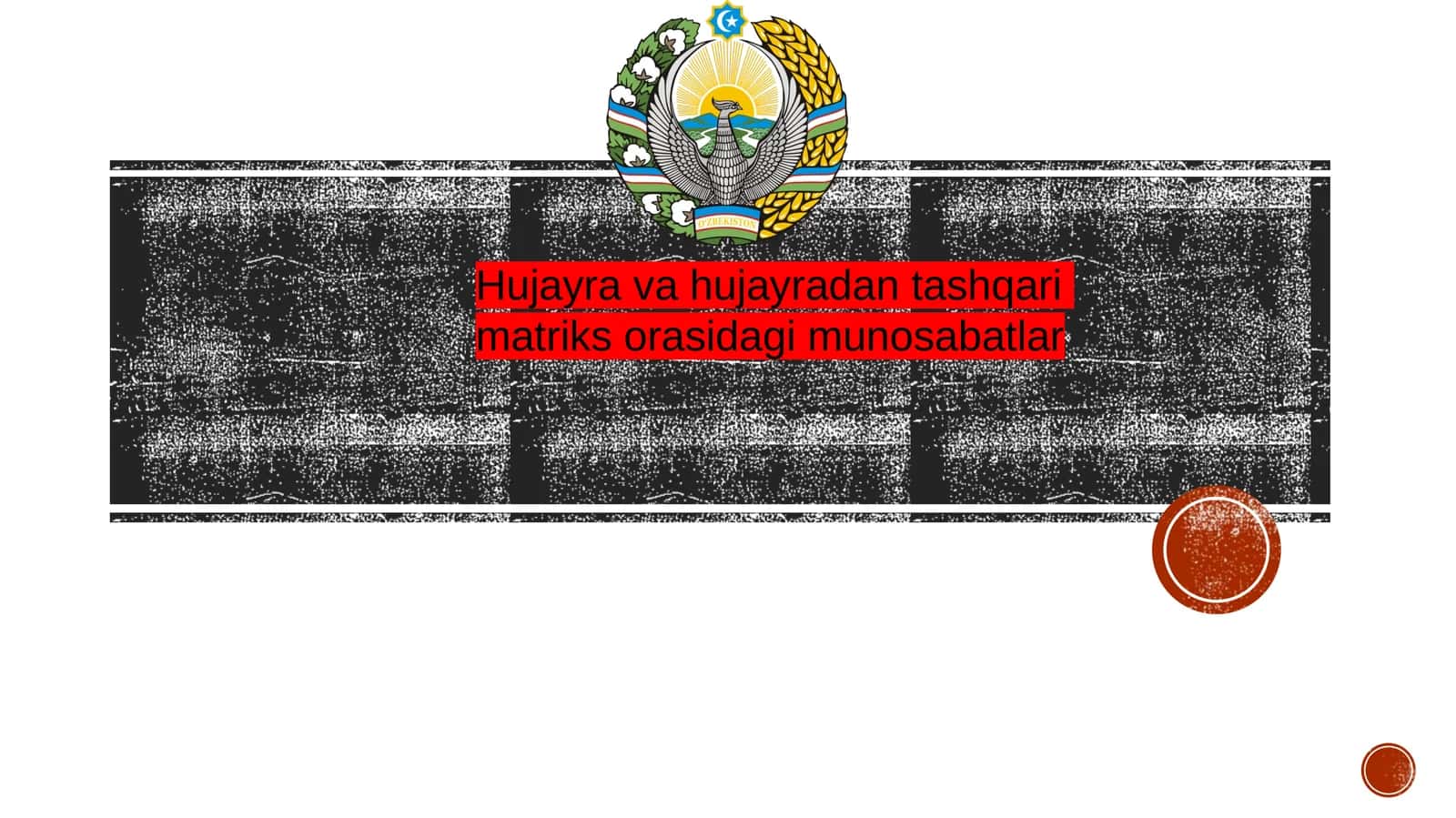 Hujayra va hujayradan tashqari matriks orasidagi munosabatlar 1