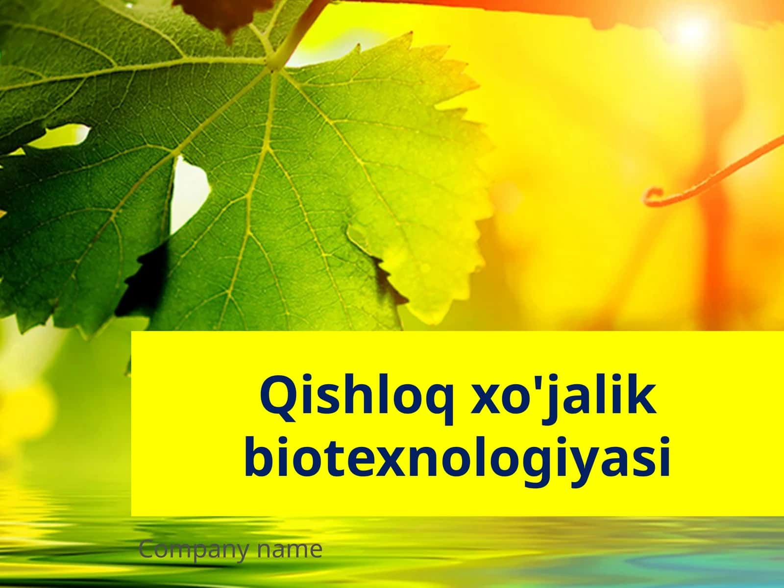 Qishloq xo'jalik biotexnologiyasi 1