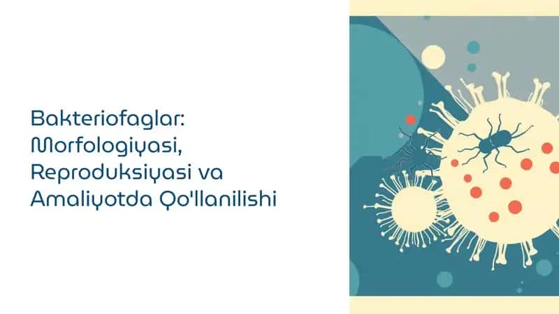 Bakteriofaglar: Morfologiyasi, Reproduksiyasi va Amaliyotda Qo'llanilishi 1