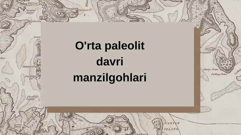 O'rta paleolit davri manzilgohlari 1