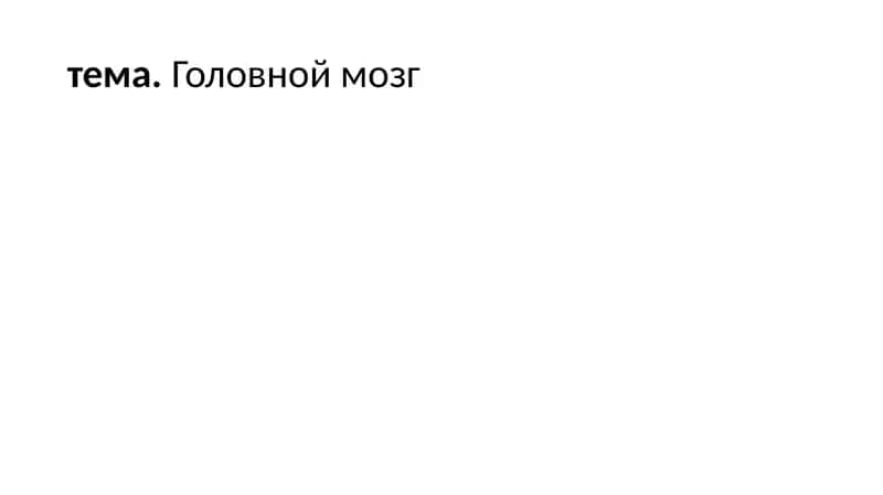 Головной мозг 1