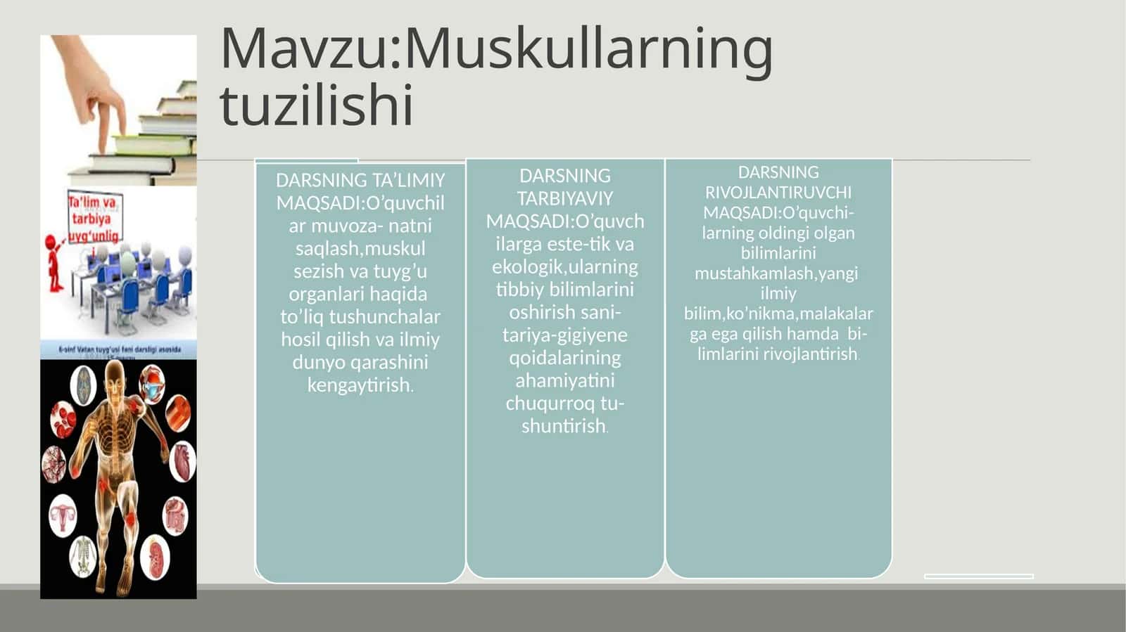 Muskullarning tuzilishi 1