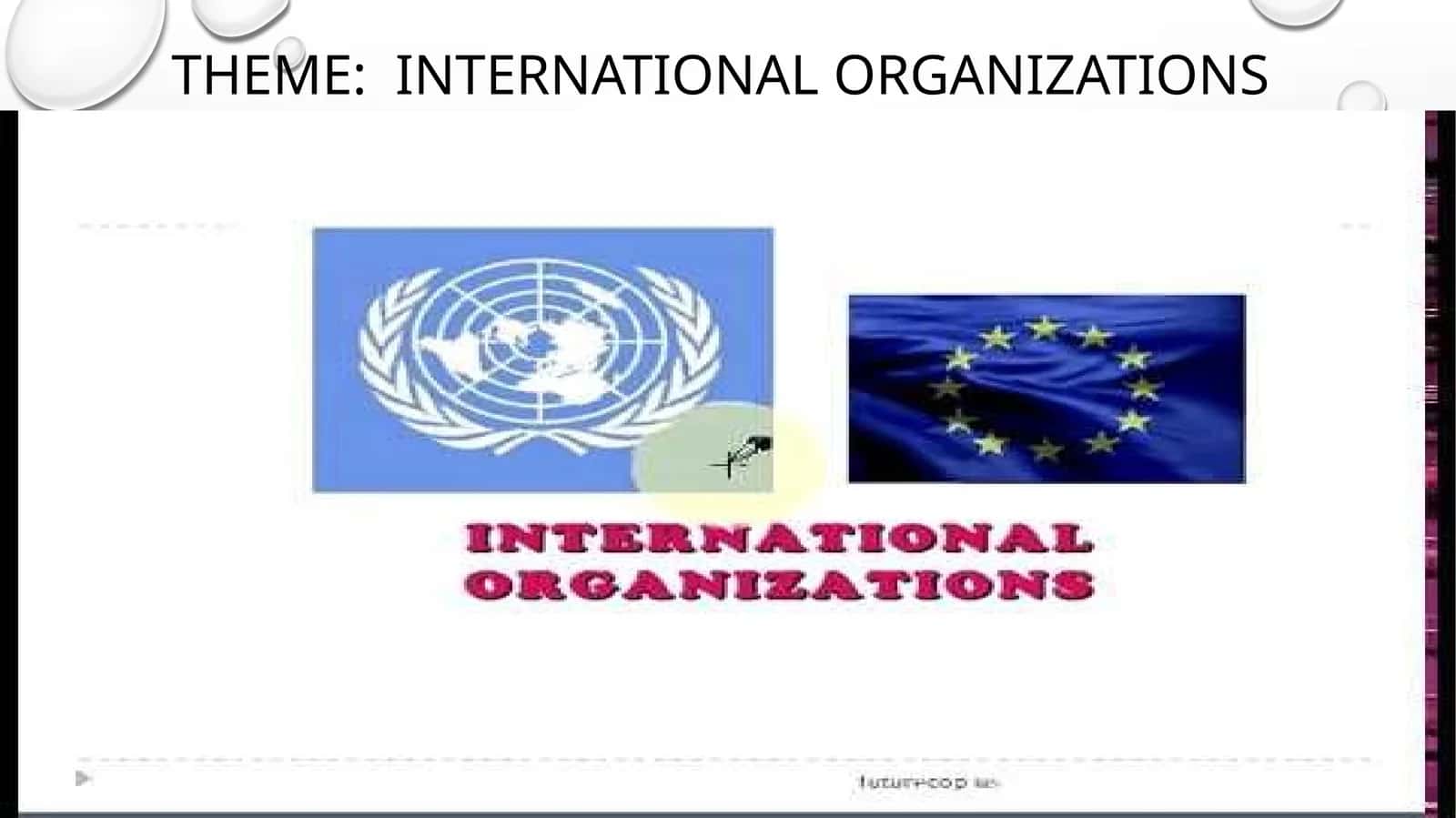 International organizations 1