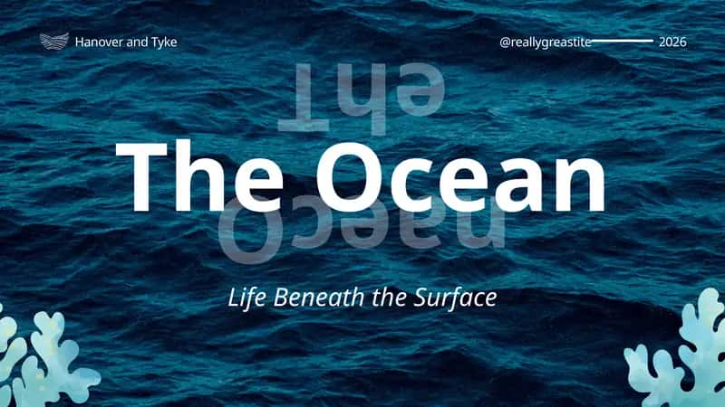 Life Beneath the Surface 1