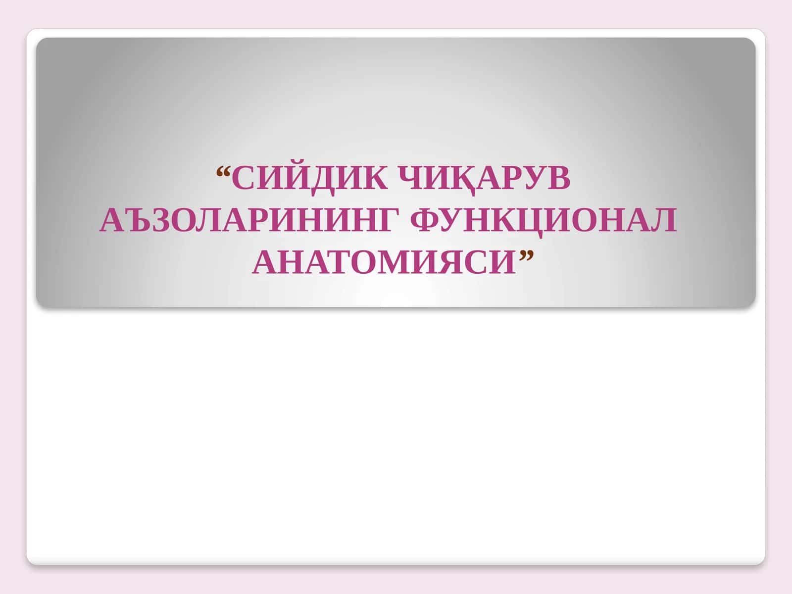 СИЙДИК ЧИҚАРУВ АЪЗОЛАРИНИНГ ФУНКЦИОНАЛ АНАТОМИЯСИ 1