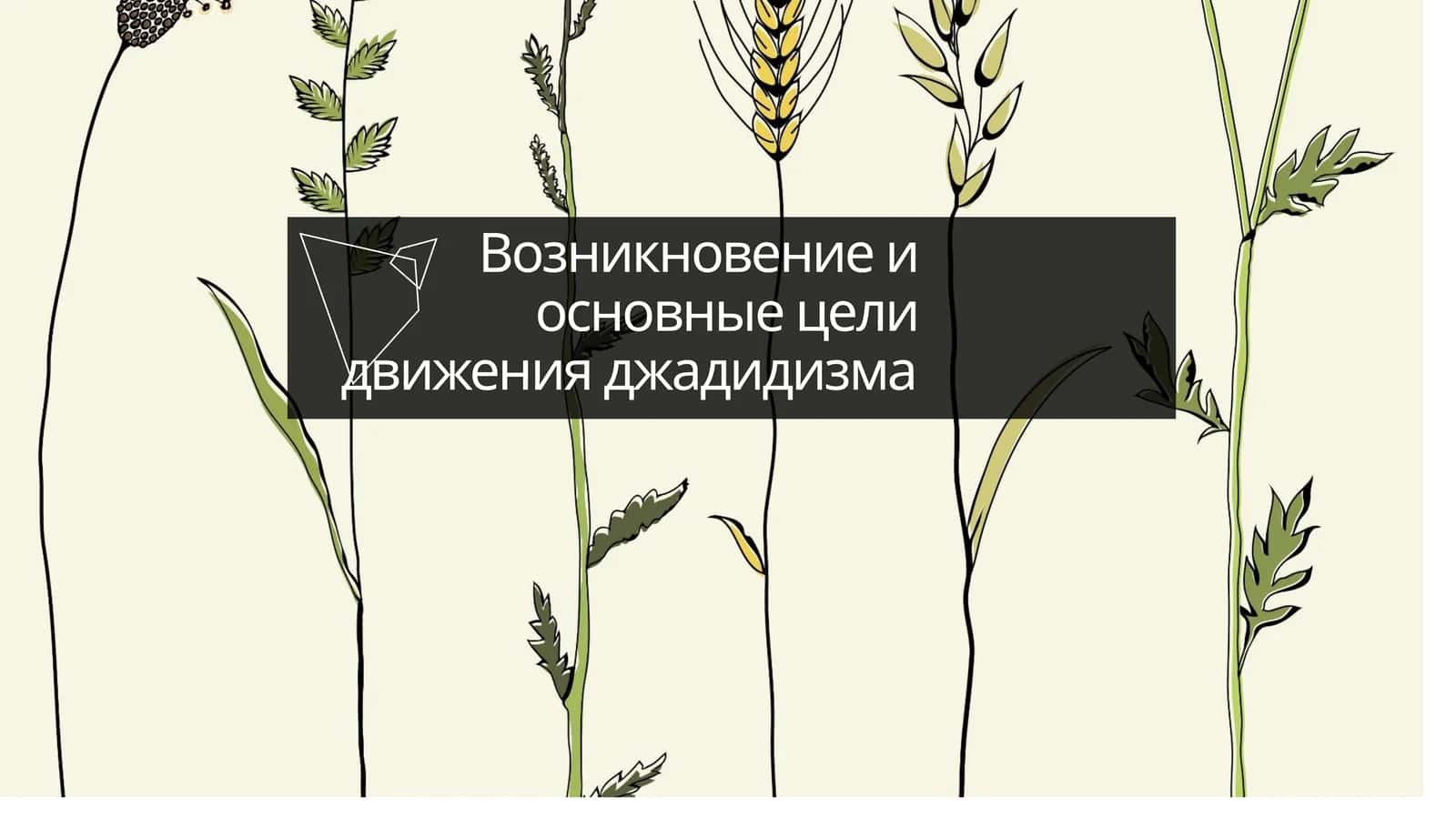 Возникновение и основные цели движения джадидизма 1