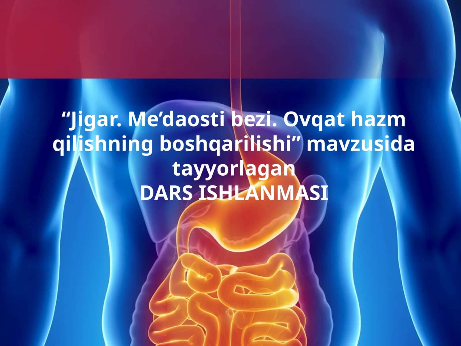 Jigar.Me’daostibezi.Ovqat hazm qilishning boshqarilishi 1