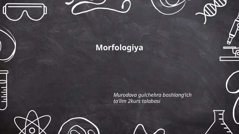 Morfologiya 1