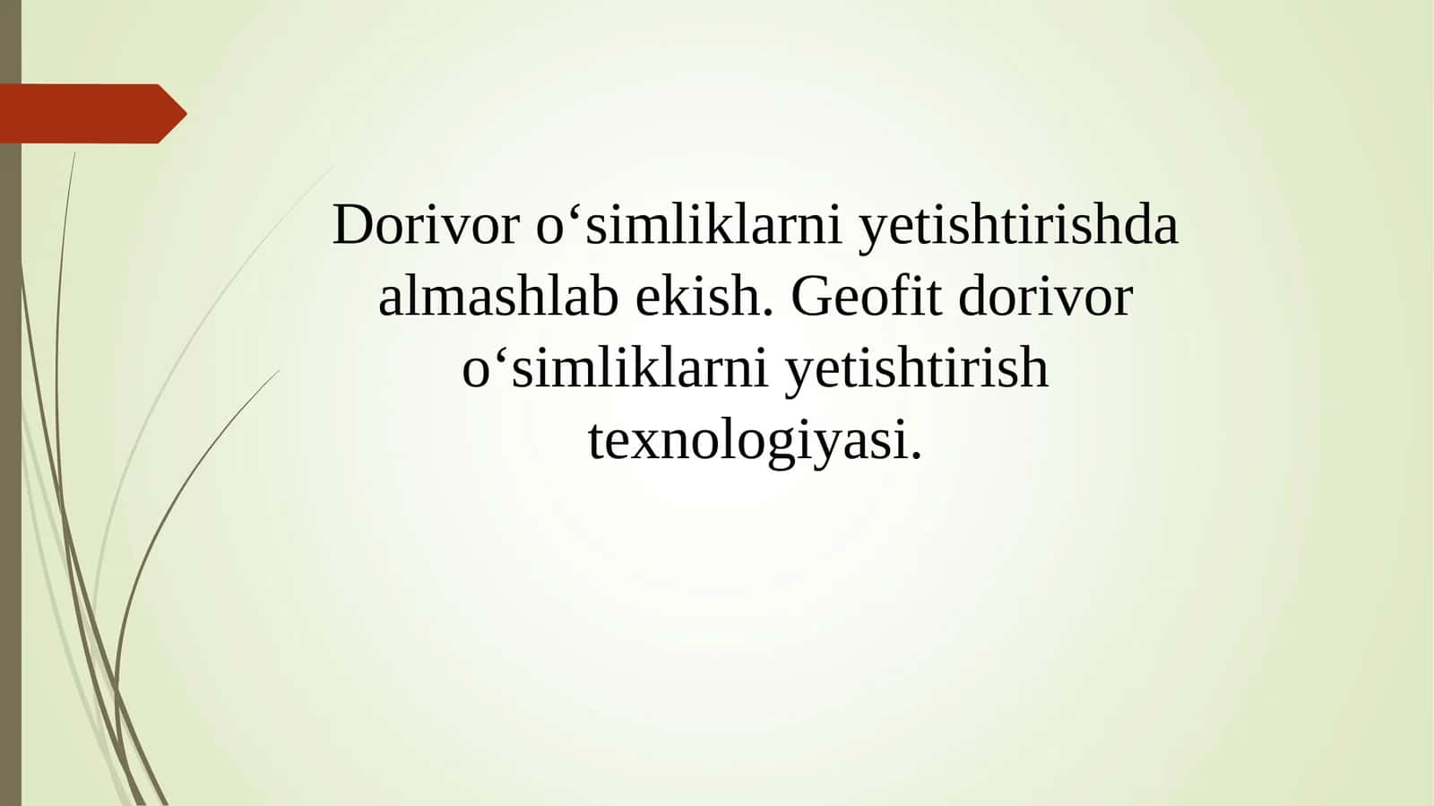 Geofit dorivor o‘simliklarni yetishtirish texnologiyasi 1