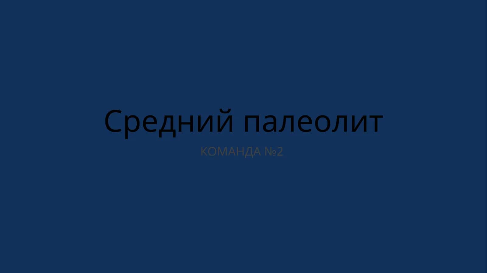 Средний палеолит 1