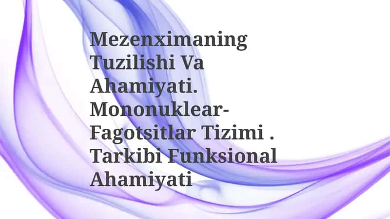 Mezenximaning Tuzilishi Va Ahamiyati 1