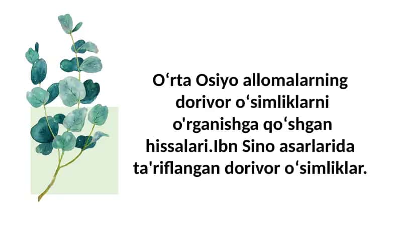 Dorivor o‘simliklar 1