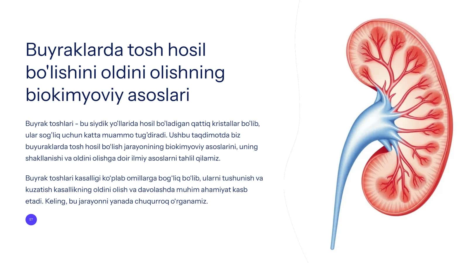 Buyraklarda tosh hosil bo'lishini oldini olishning biokimyoviy asoslari 1