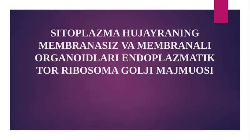 SITOPLAZMA HUJAYRANING MEMBRANASIZ VA MEMBRANALI ORGANOIDLARI ENDOPLAZMATIK TOR RIBOSOMA GOLJI MAJMUOSI 1