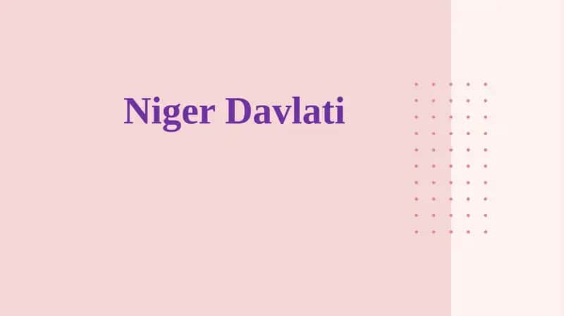 Niger Davlati 1