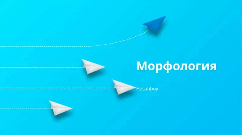 Морфология 1