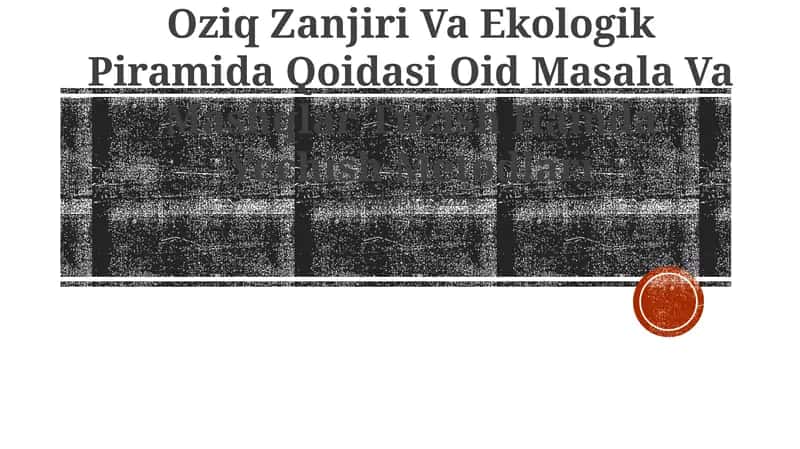 Oziq Zanjiri Va Ekologik Piramida Qoidasi Oid Masala Va Mashqlar Tuzish Hamda Yechish Metodlari 1