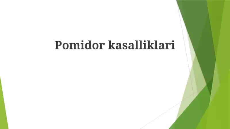 Pomidorkasalliklari 1
