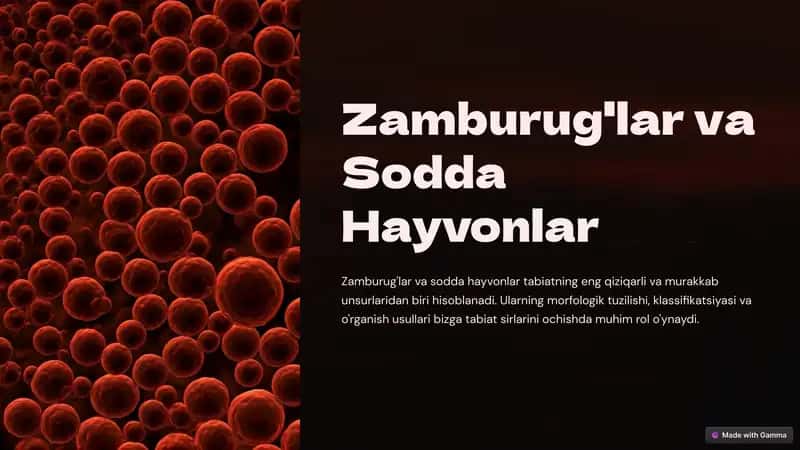 Zamburug'lar va Sodda Hayvonlar 1