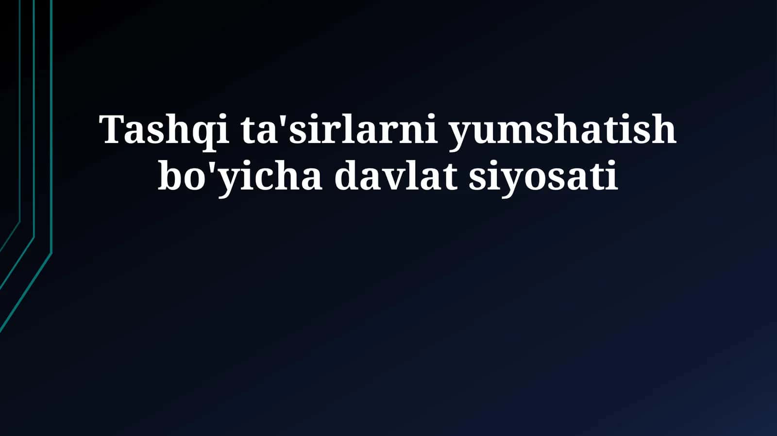 Tashqi ta'sirlarni yumshatish bo'yicha davlat siyosati 1