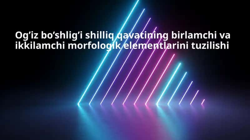 Og’iz bo’shlig’i shilliq qavatining birlamchi va ikkilamchi morfologik elementlarini tuzilishi 1