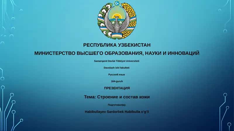 Презентация: Строение и состав кожи 1