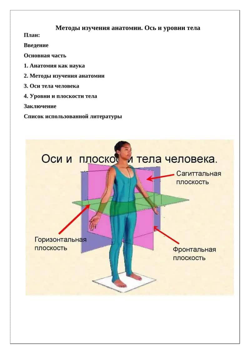 Методы изучения анатомии. Ось и уровни тела 1