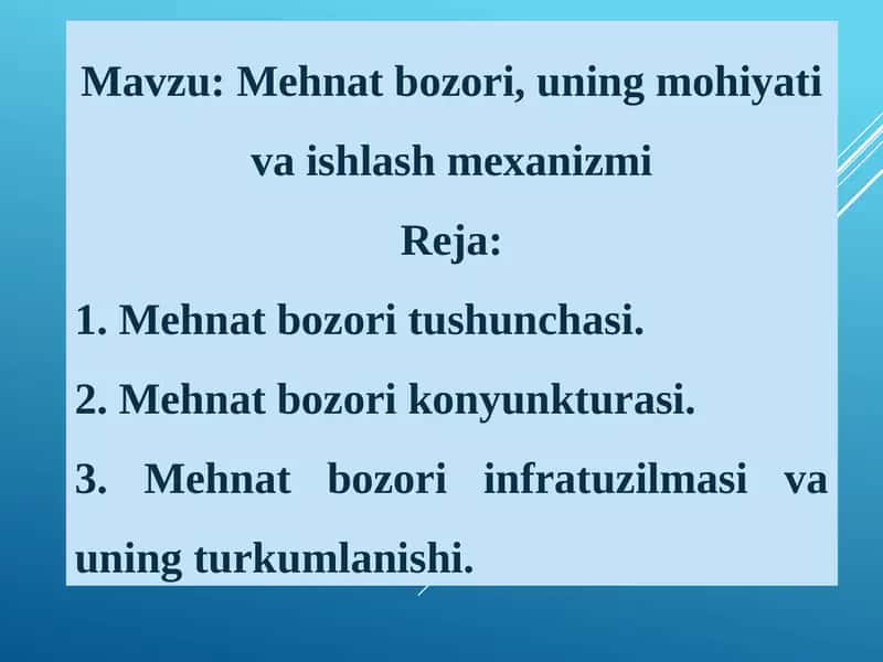 Mehnat bozori, uning mohiyati va ishlash mexanizmi 1