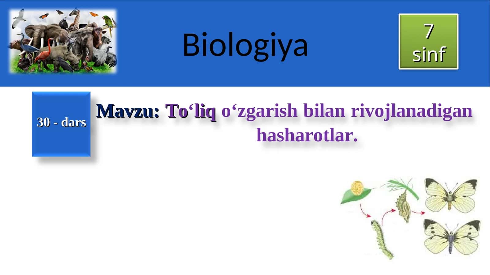 To‘liqo‘zgarish bilan rivojlanadigan hasharotlar 1