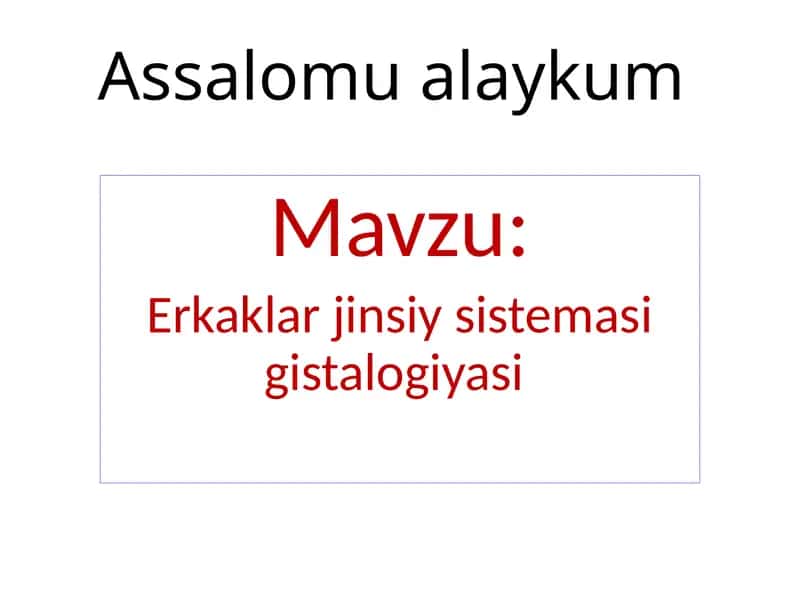 Erkaklar jinsiys sistema g'istalogiyasi 1