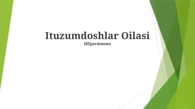 Ituzumdoshlar Oilasi 1