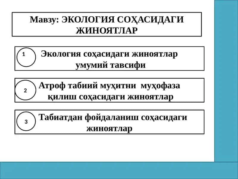 ЭКОЛОГИЯ СОҲАСИДАГИ ЖИНОЯТЛАР 1