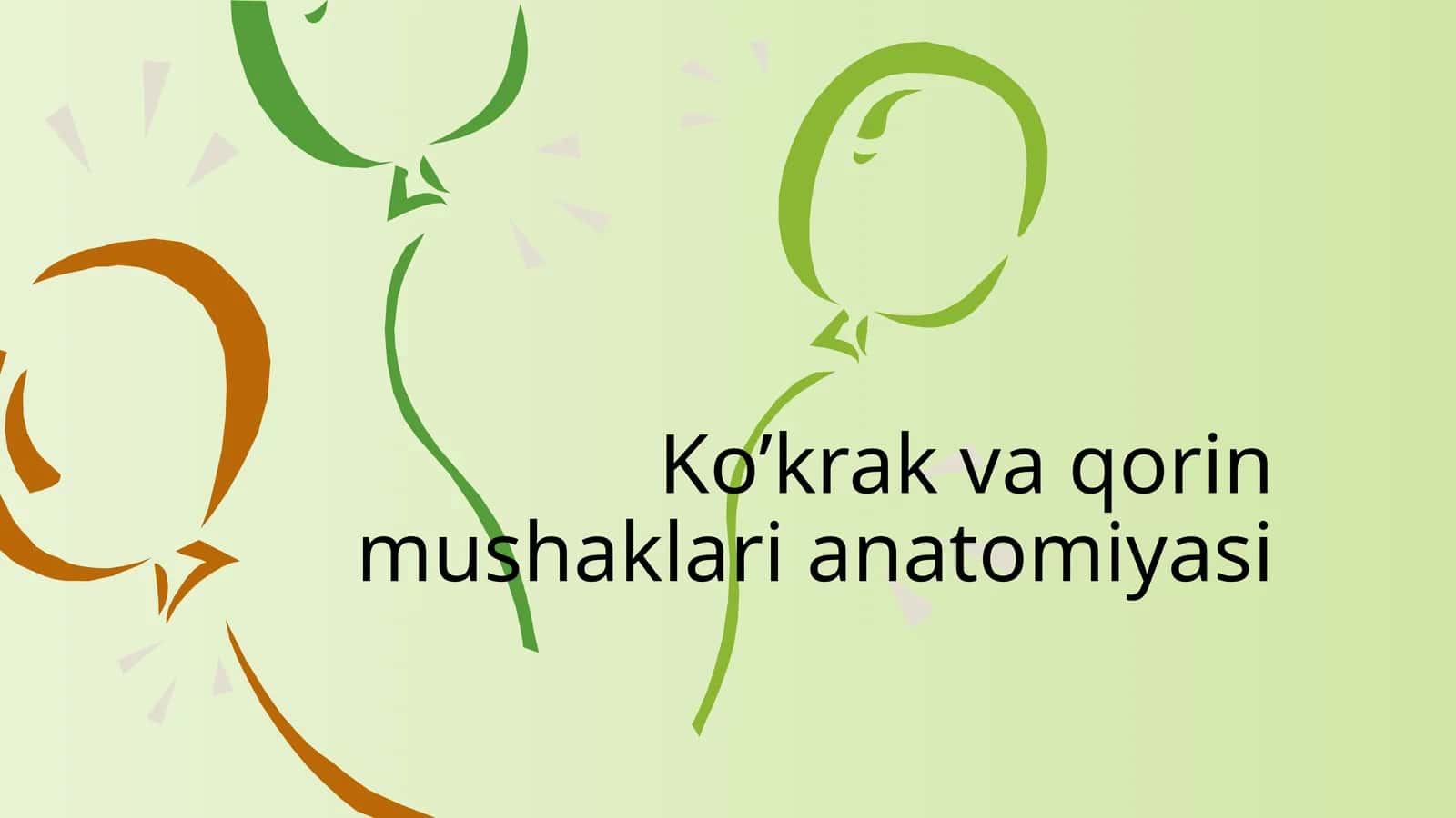 Ko’krak vaqorin mushaklari anatomiyasi 1