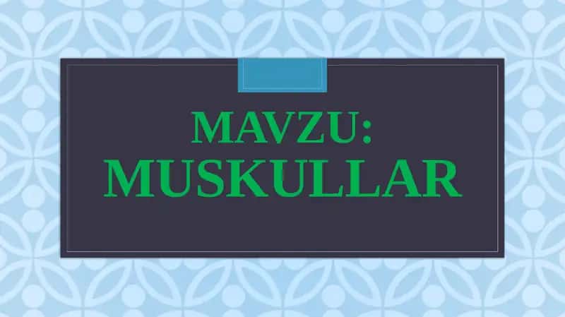 Muskullar 1