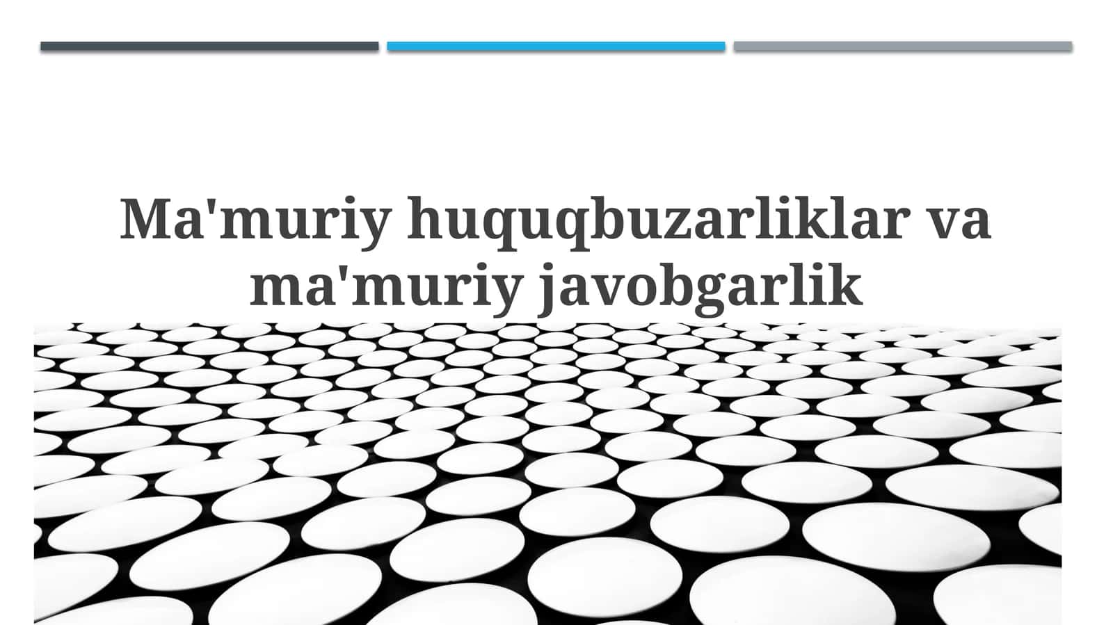 Ma'muriy huquq buzarganlik va ma'muriy javobgarlik 1