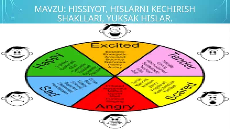 Hissiyot, hislarni kechirish shakllari, yuksak hislar. 1