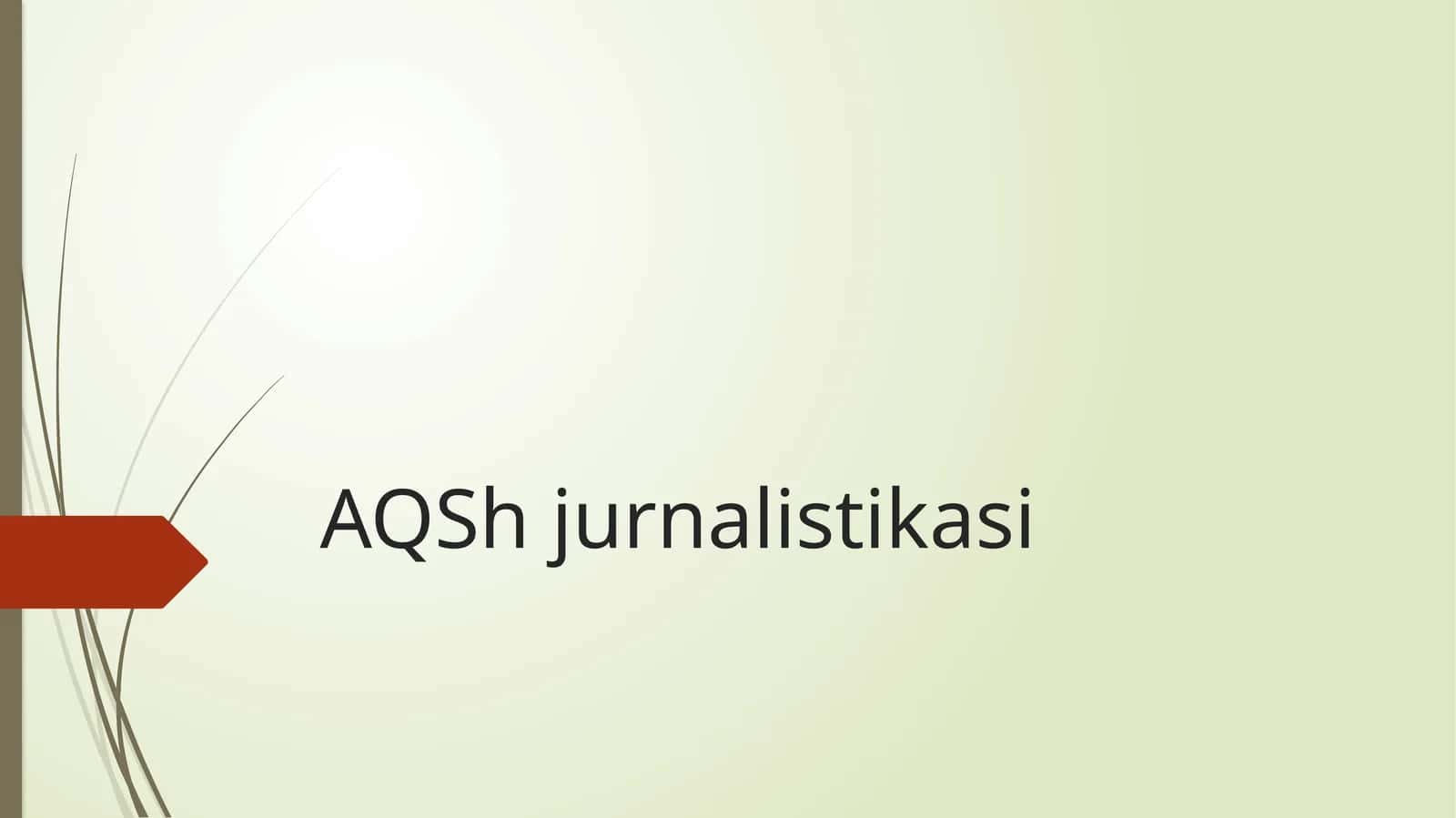 AQSh jurnalistikasi 1