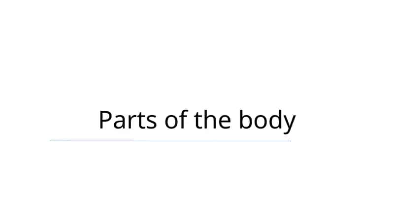 Parts of the body 1