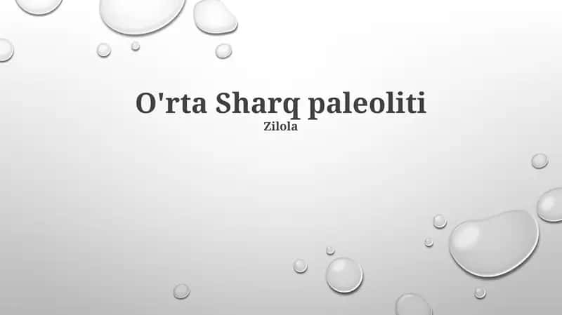 O'rta Sharq paleoliti 1