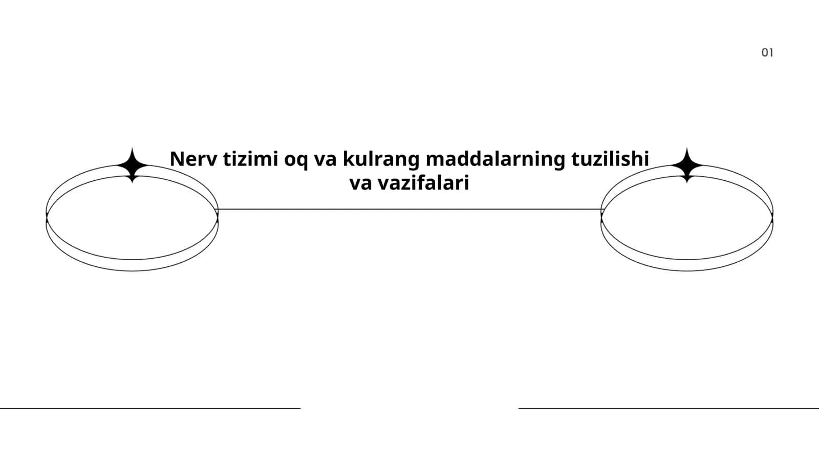 Nerv tizimi oq va kulrang maddalarning tuzilishi va vazifalari 1