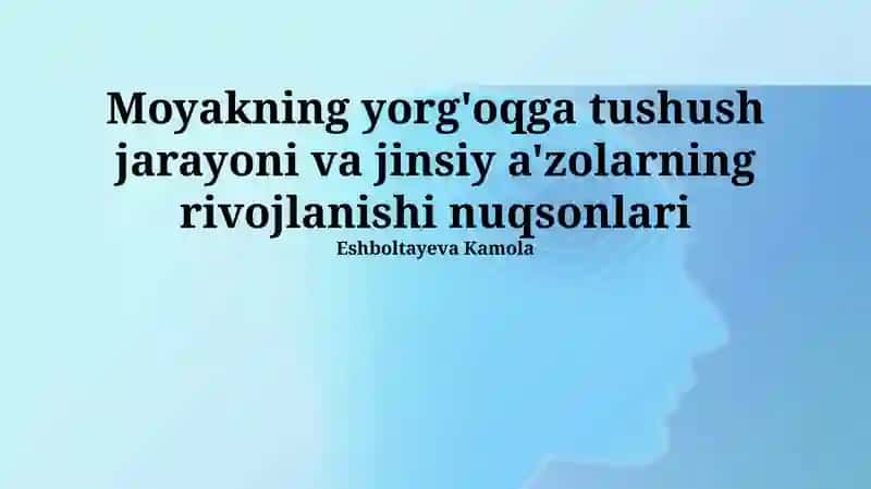 Moyakning yorg'oqga tushishi jarayoni