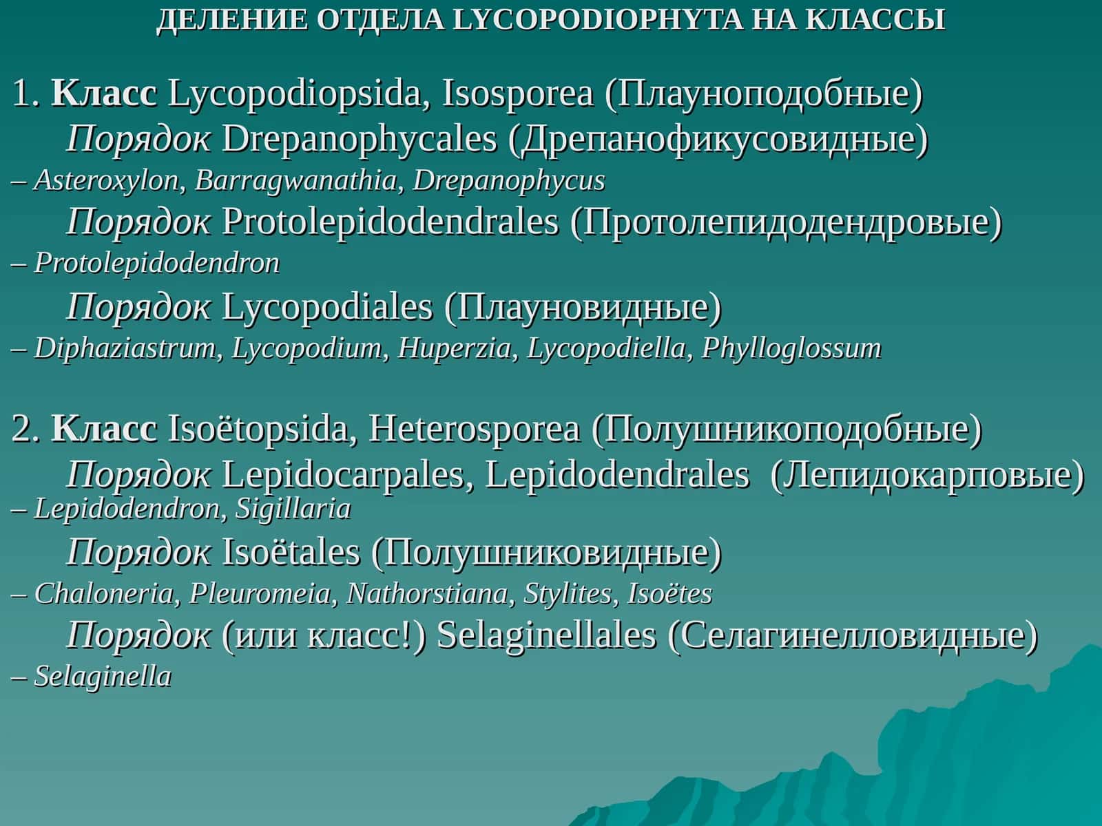 ДЕЛЕНИЕ ОТДЕЛА LYCOPODIOPHYTA НА КЛАССЫ 1
